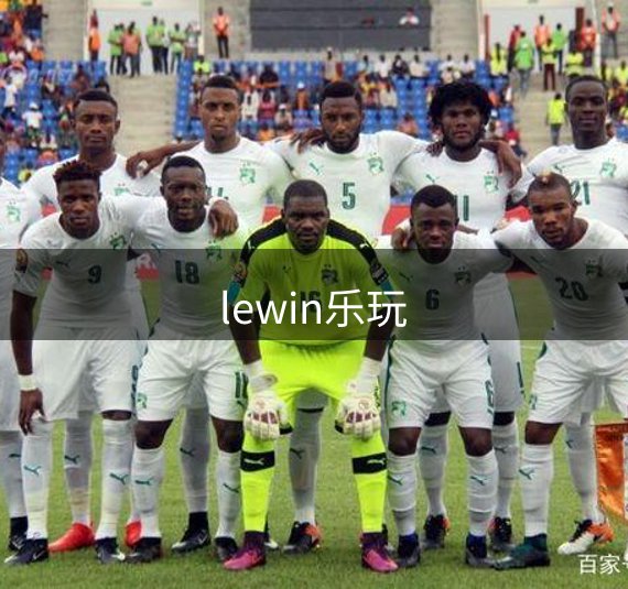 lewin乐玩概况